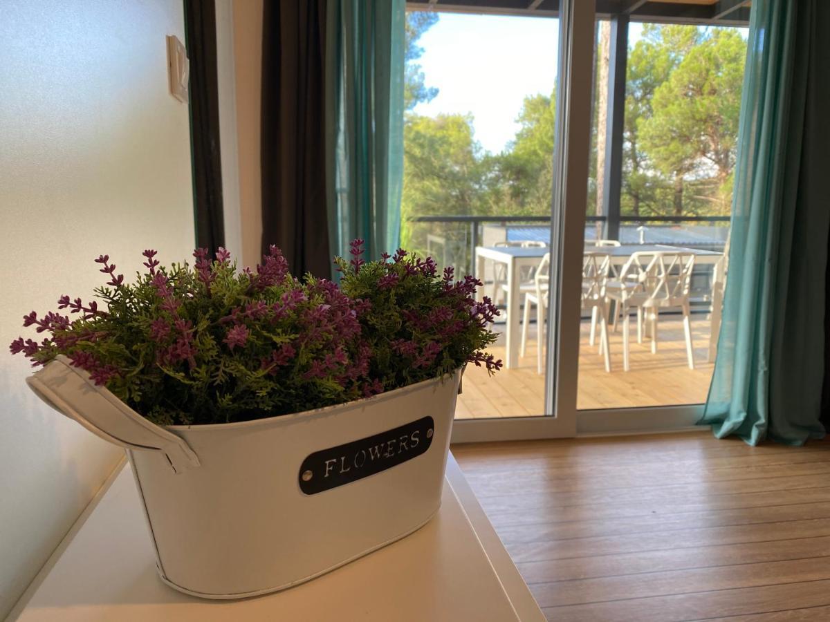 Mobile Home Divina Camp Porton Nature Hideouts Ρόβινι Εξωτερικό φωτογραφία